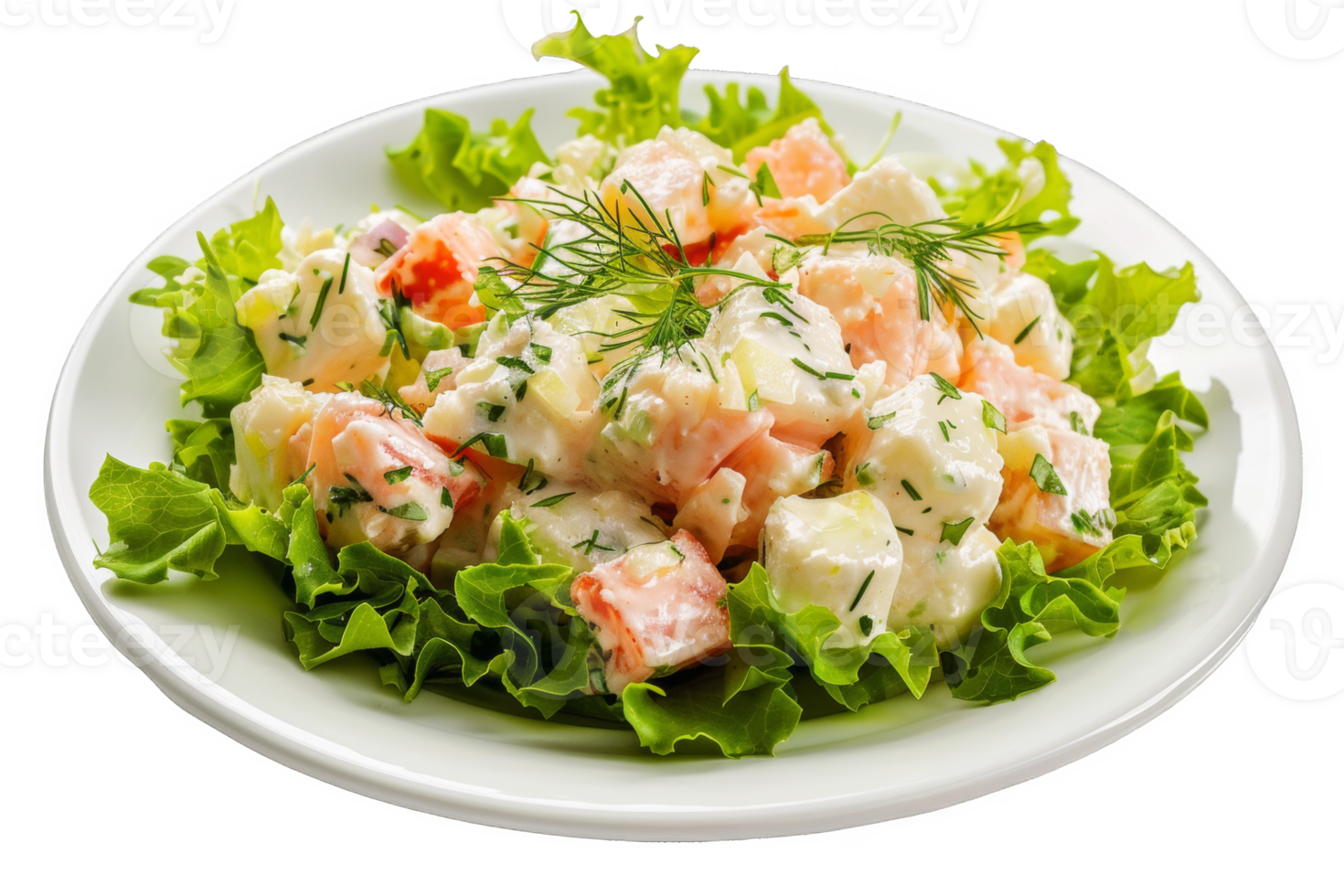 Fresh Olivier Salad png