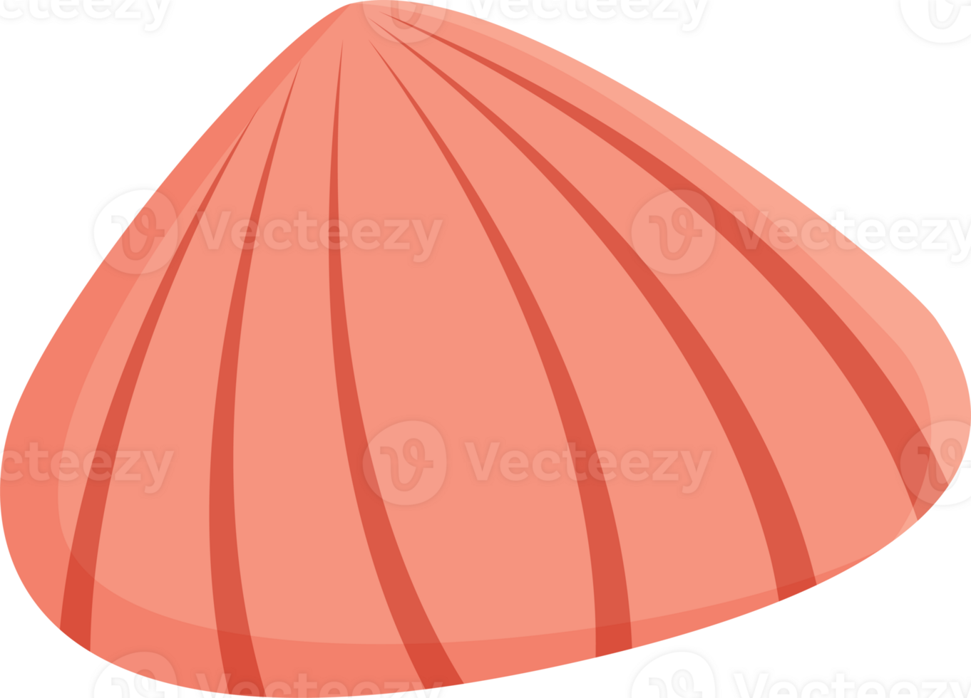 colorful sea shell colorful illustration design isolate png