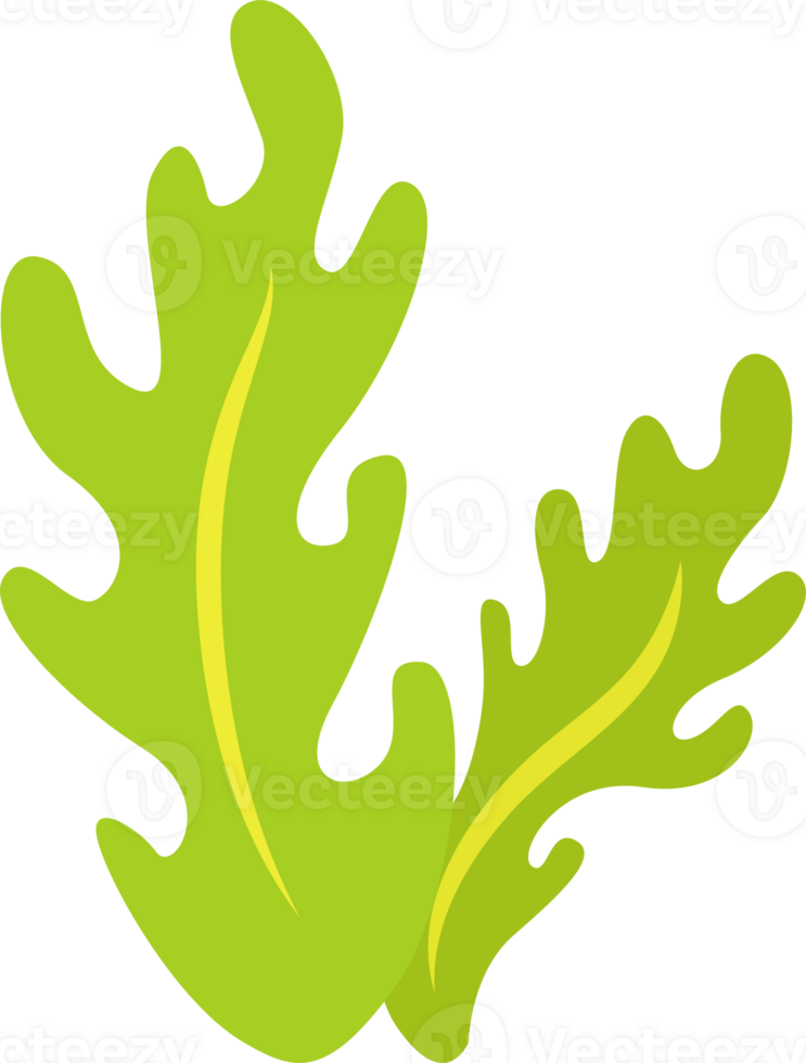 green seaweed illustration design isolate png