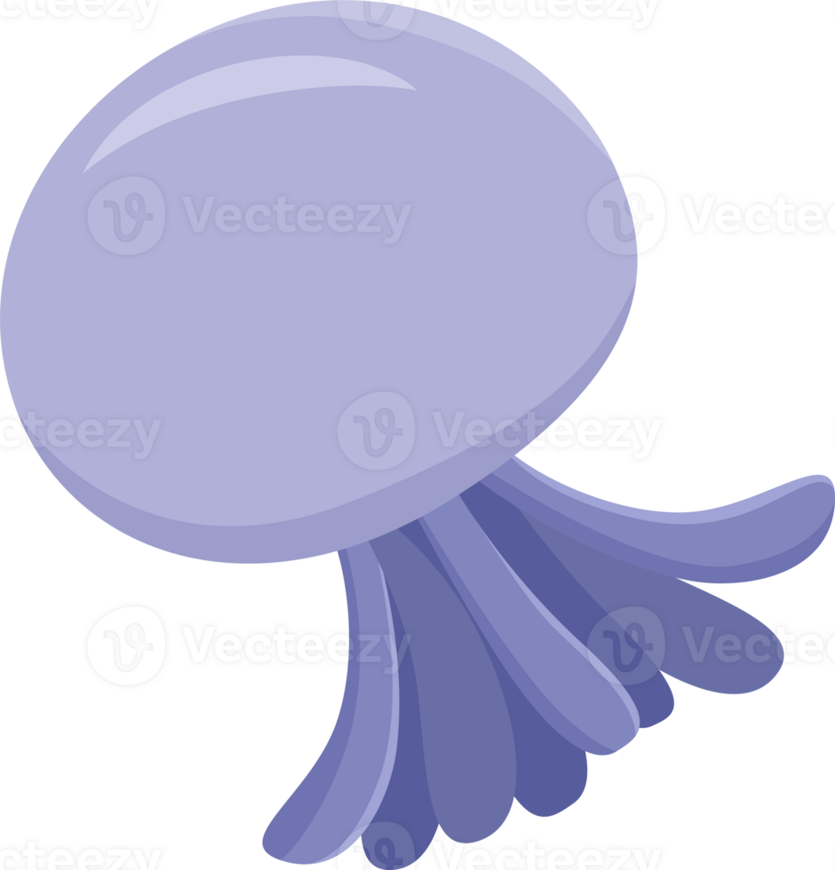 jellyfish isolate illustration design png
