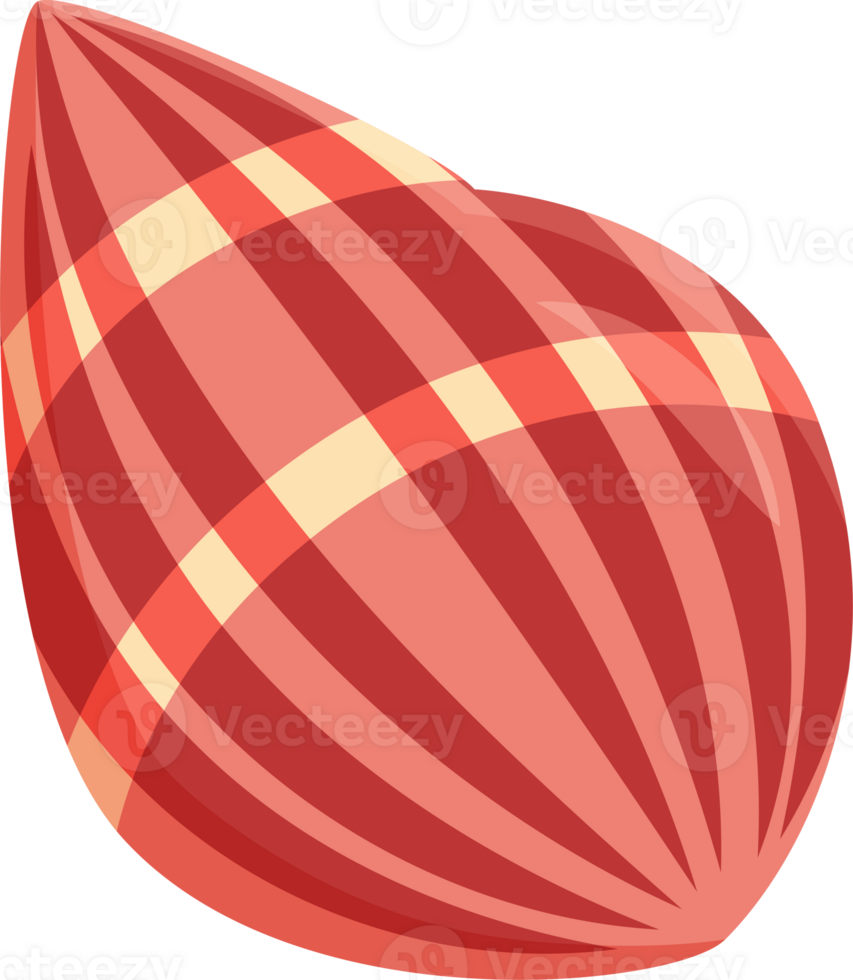 colorful sea shell colorful illustration design isolate png