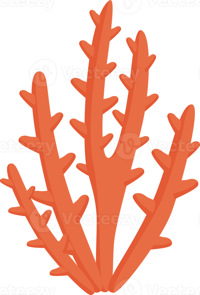 sea coral illustration design isolate png