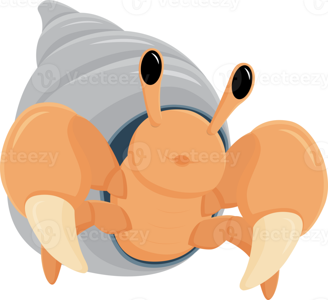 hermit crab cartoon character illustration design isolate png