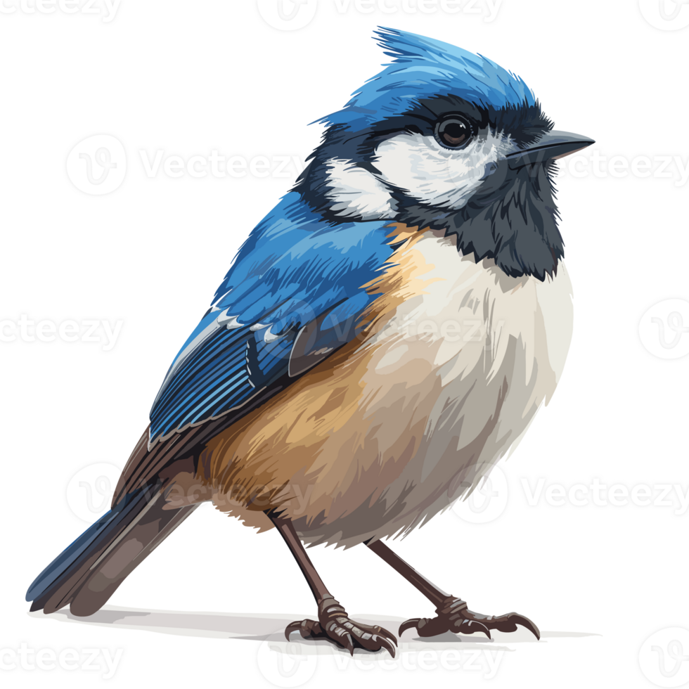Chickadee Cartoon Flat Color png