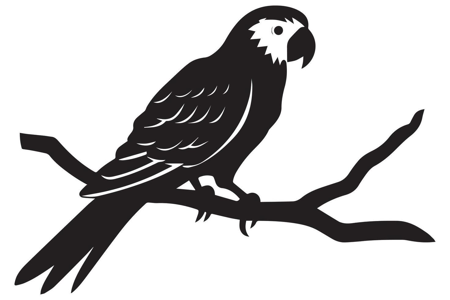 parrot bird silhouette black vector
