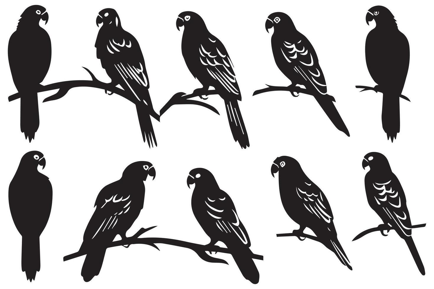 Black silhouette set of parrot on a white background vector