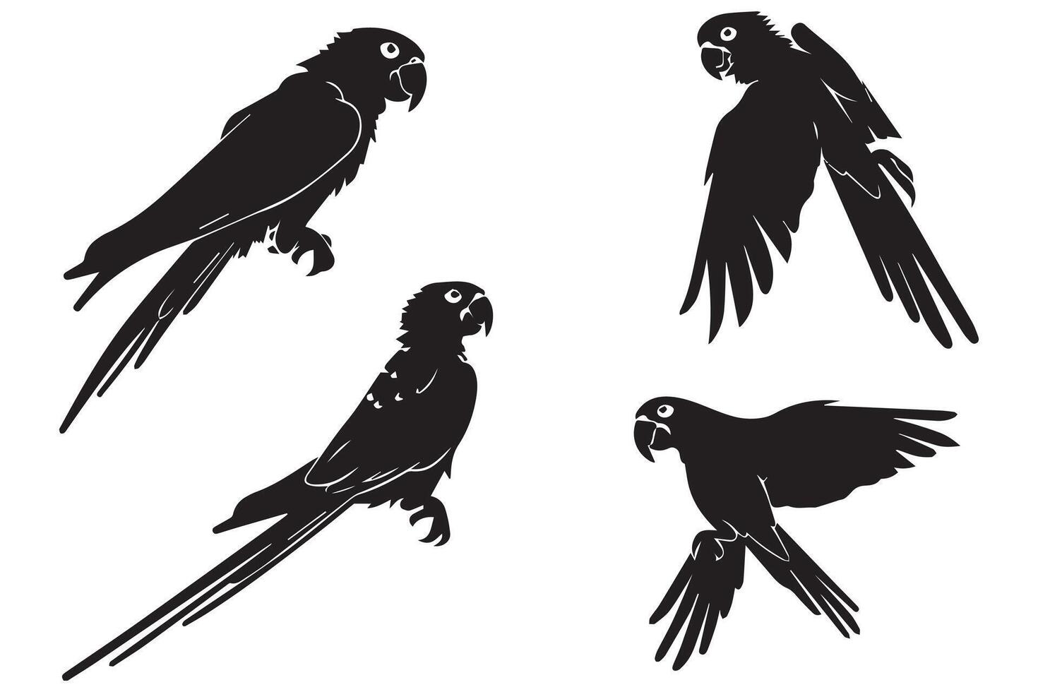 Set of silhouettes of parrots vector