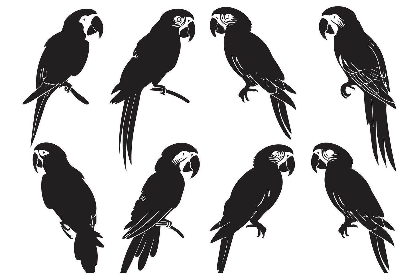 Set of silhouettes of parrots. Collection of tropical birds from the Amazon jungle. Domestic parrot on a sit on a stand.illustration on a white background vector