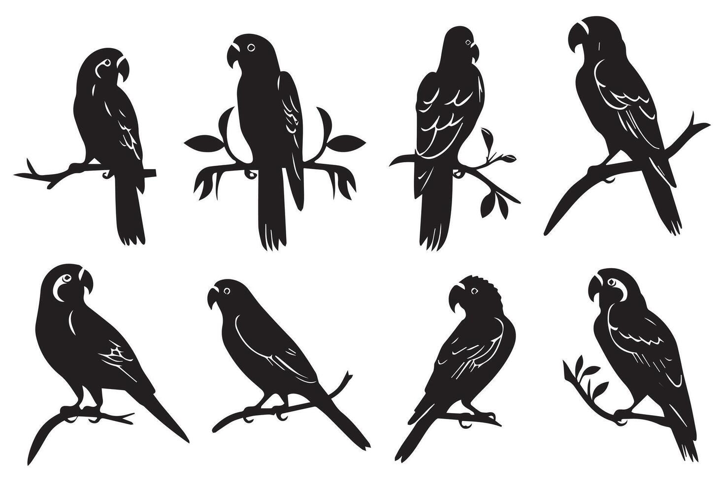 conjunto de siluetas de loros colección de tropical aves desde el Amazonas selva. Doméstico loro en un sentar en un stand.ilustracion en un blanco antecedentes vector