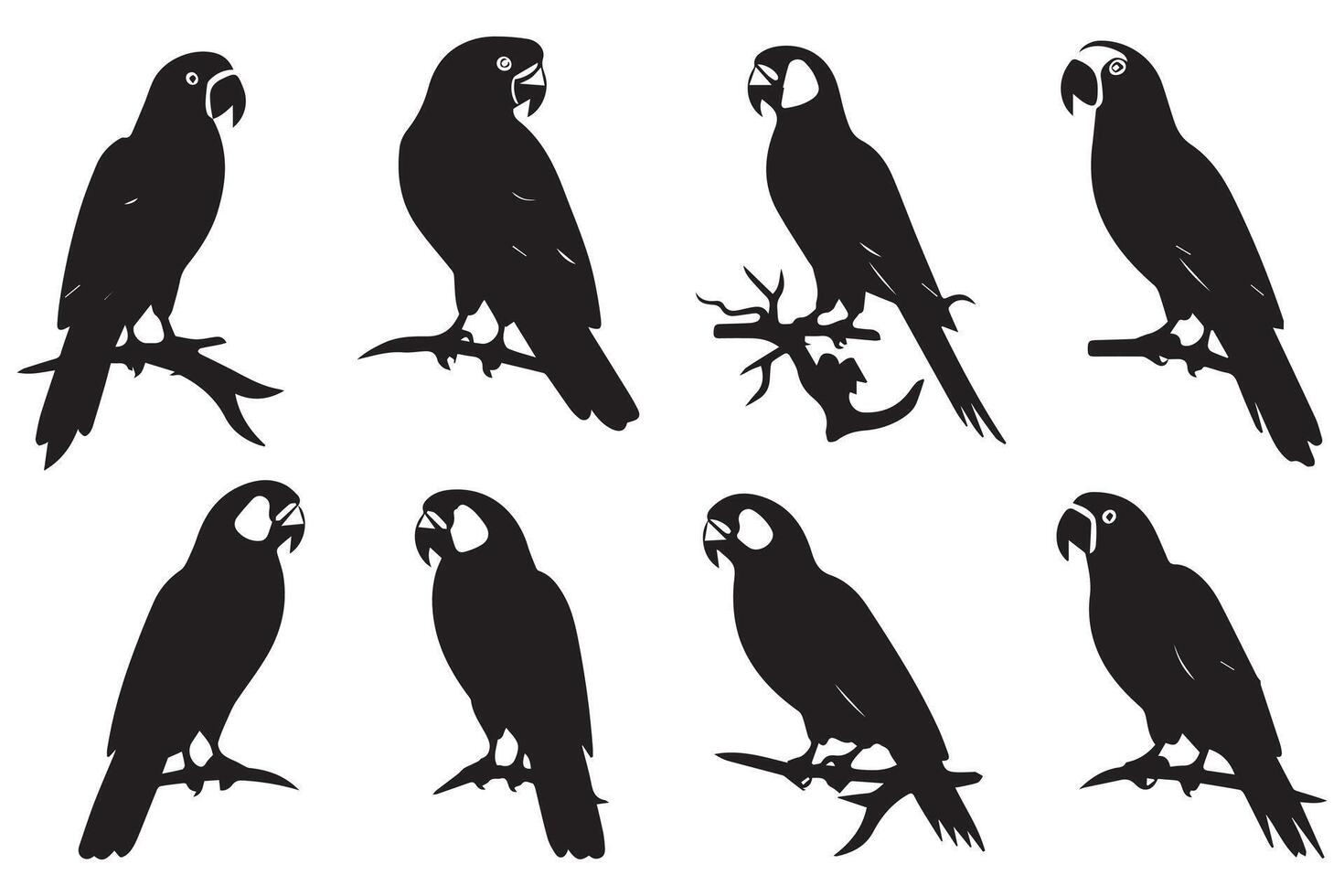Black silhouette set of parrot on a white background vector