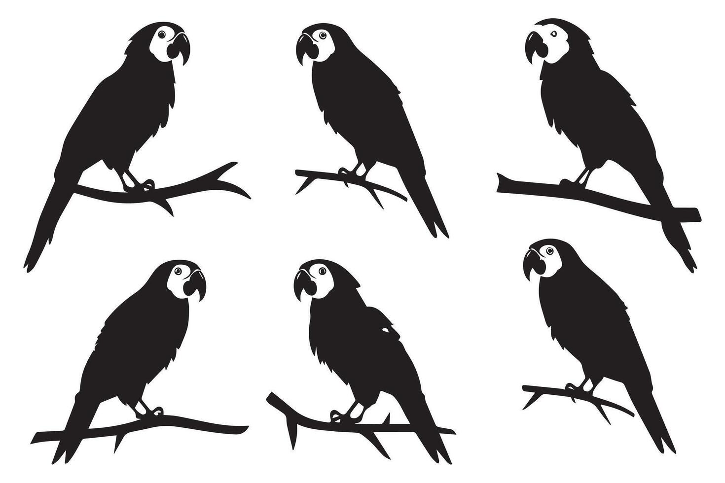 Black silhouette set of parrot on a white background vector