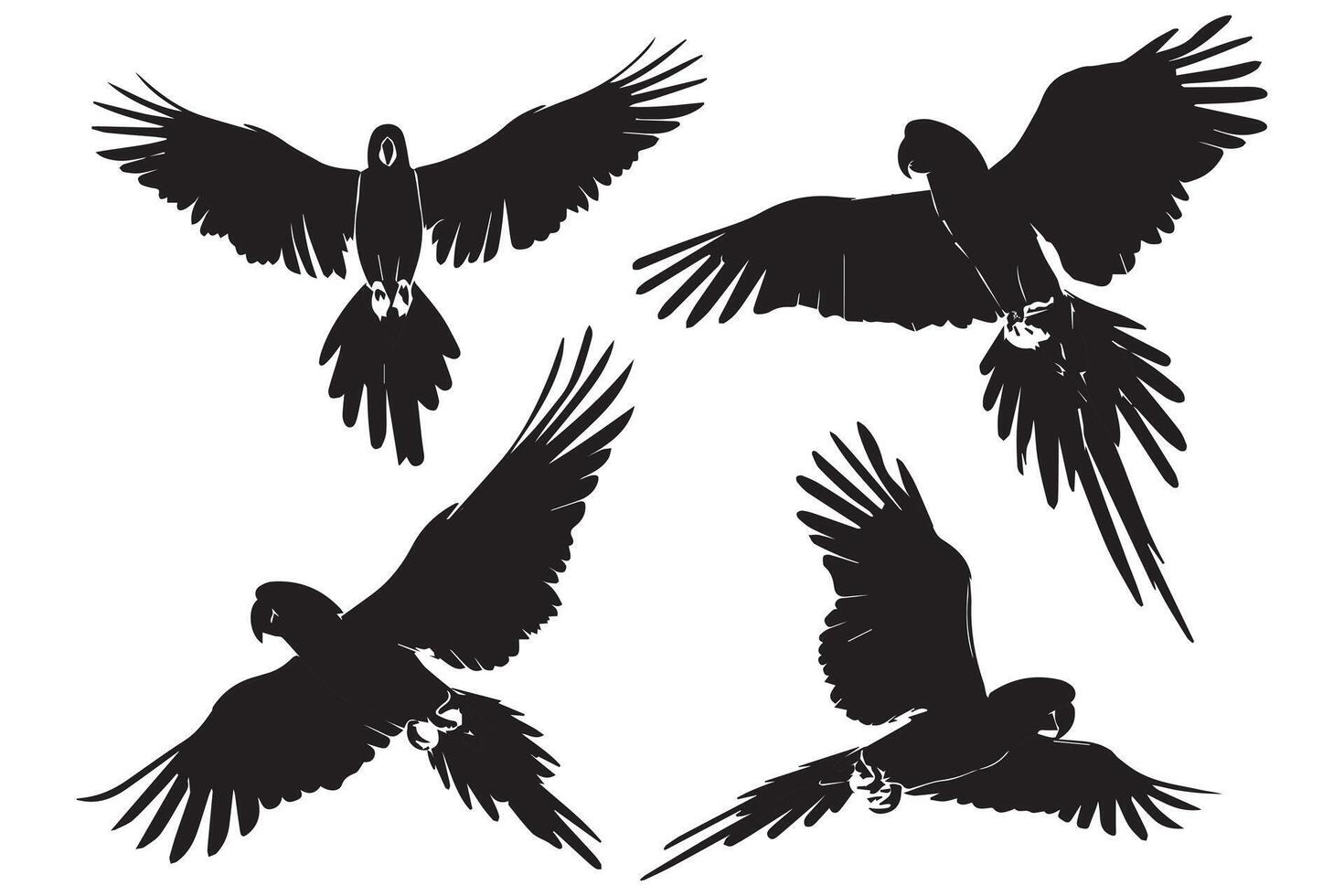 Set of silhouettes of parrots. Collection of tropical birds from the Amazon jungle. Domestic parrot on a sit on a stand.illustration on a white background vector