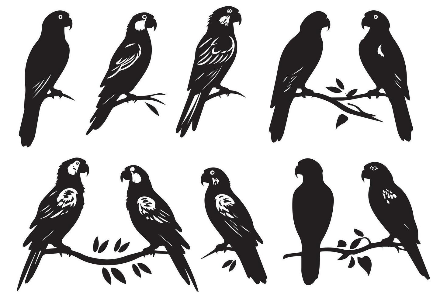 parrot silhouettes design vector