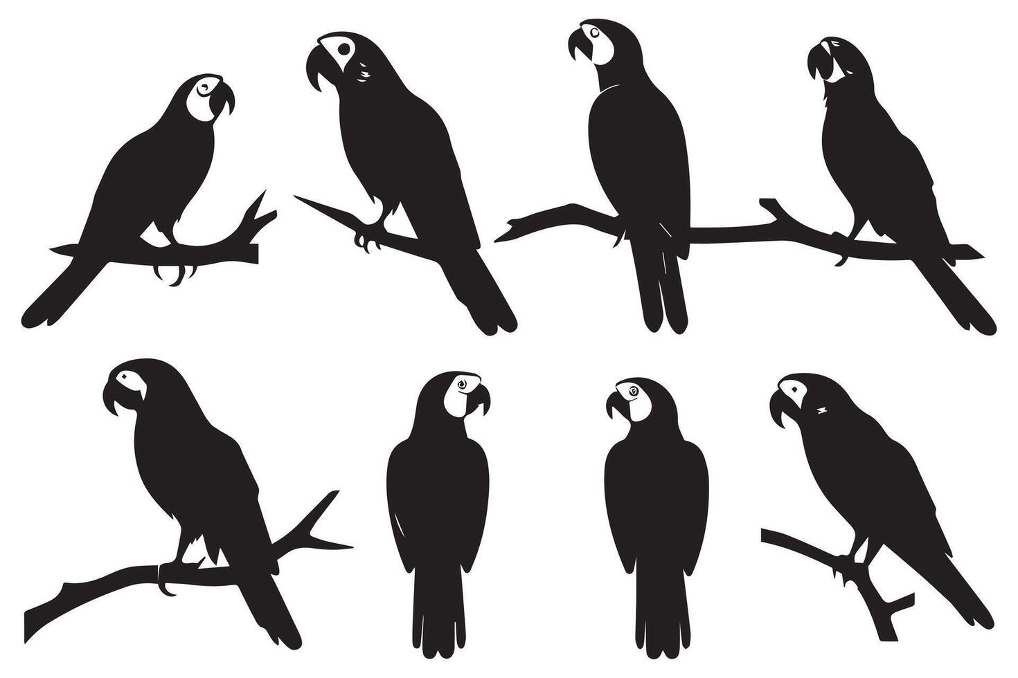 parrot silhouettes design vector