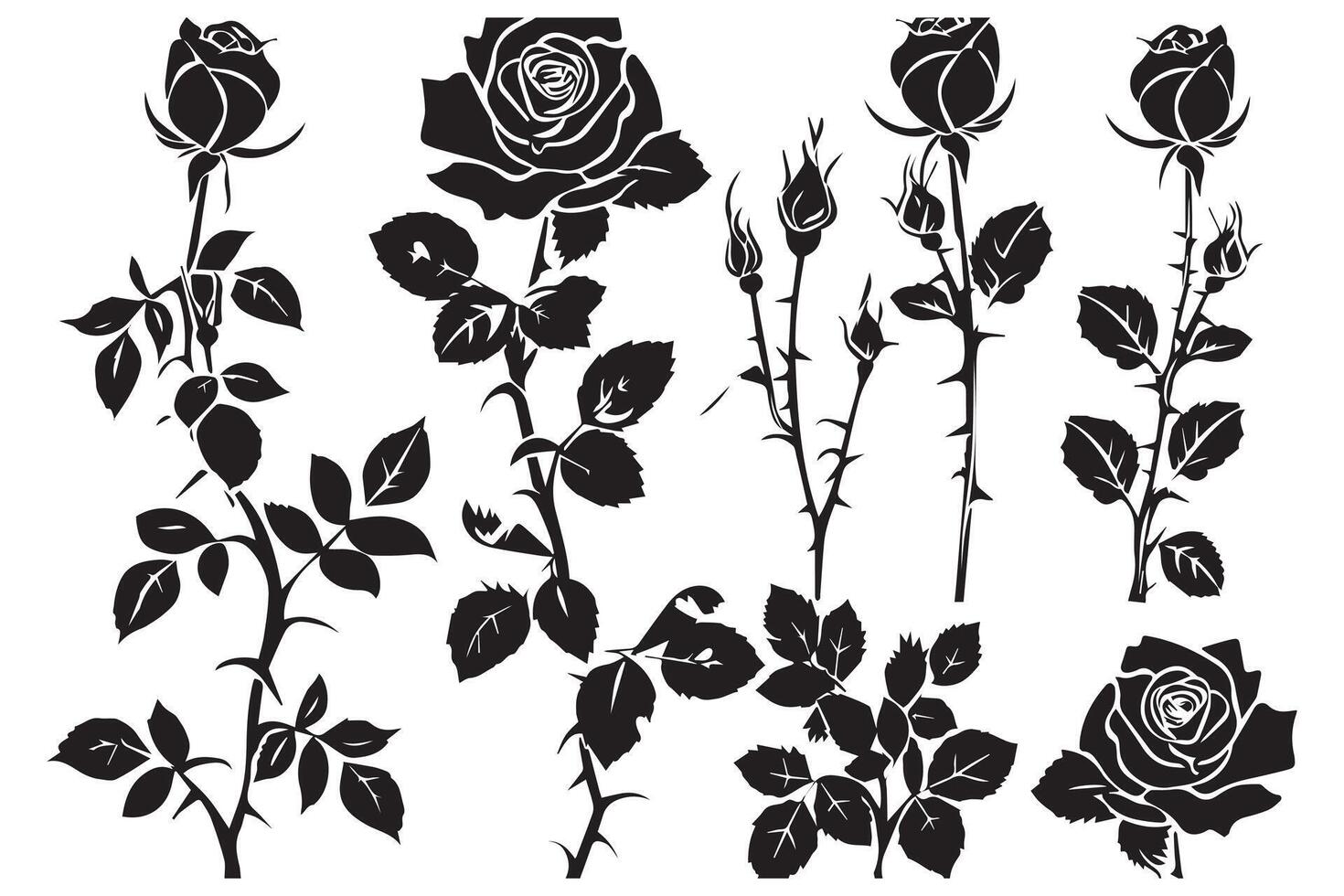 Set of black silhouettes of decorative fresh blossoming rose with steam and leaves. Hand drawn outline flower icon monochrome illustrations isolated on white background vector