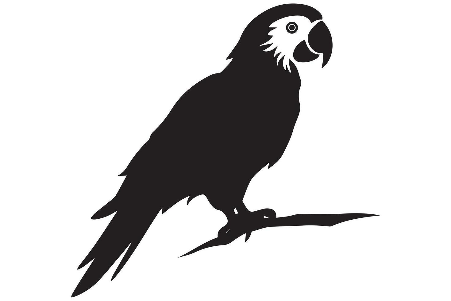 parrot bird silhouette black vector