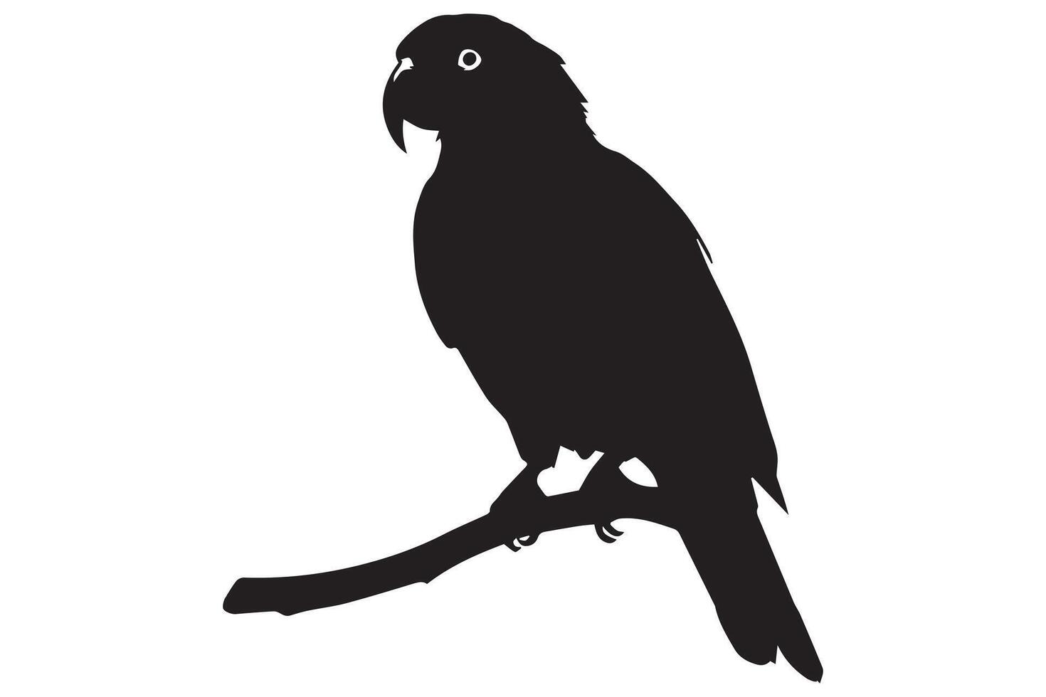 set of parrot silhouettes vector