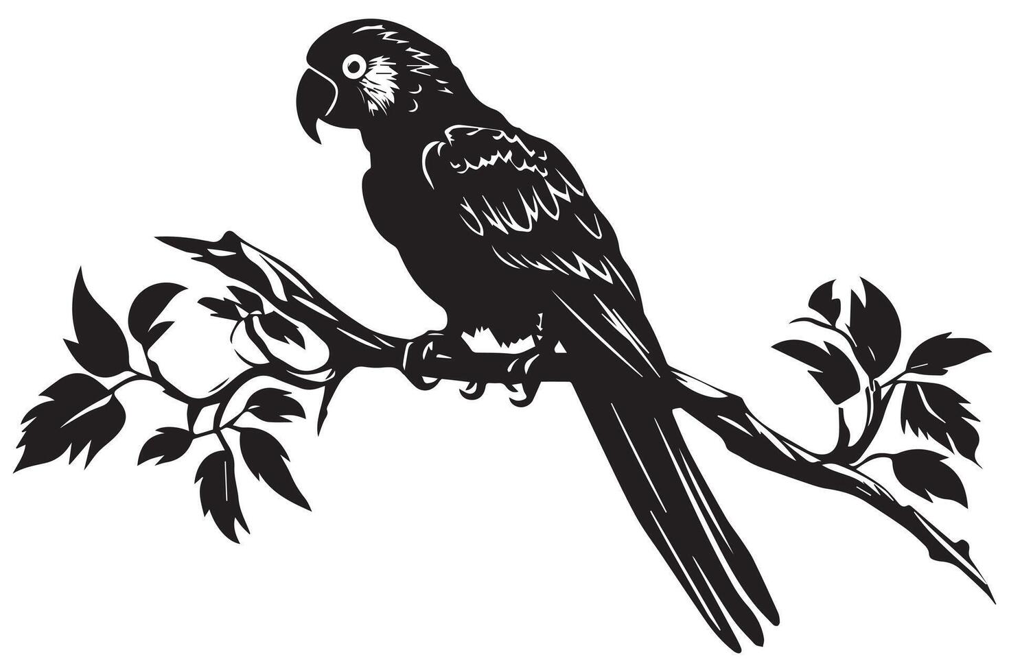 parrot bird silhouette black vector