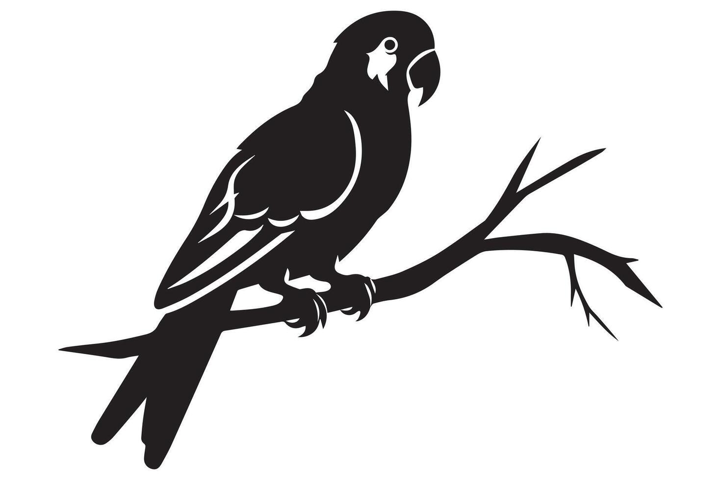parrot bird silhouette black vector
