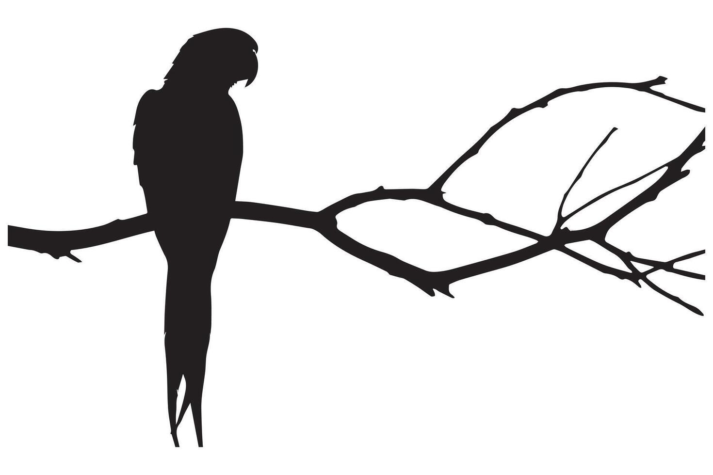 Set of silhouettes of parrots vector