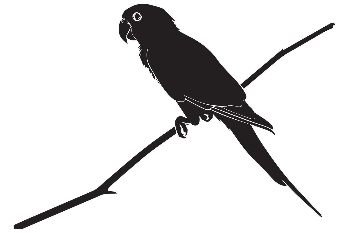 set of parrot silhouettes vector