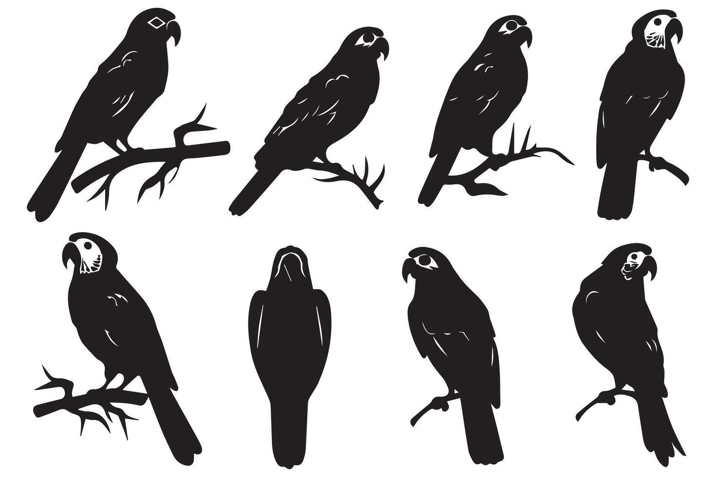 Set of silhouettes of parrots. Collection of tropical birds from the Amazon jungle. Domestic parrot on a sit on a stand.illustration on a white background vector