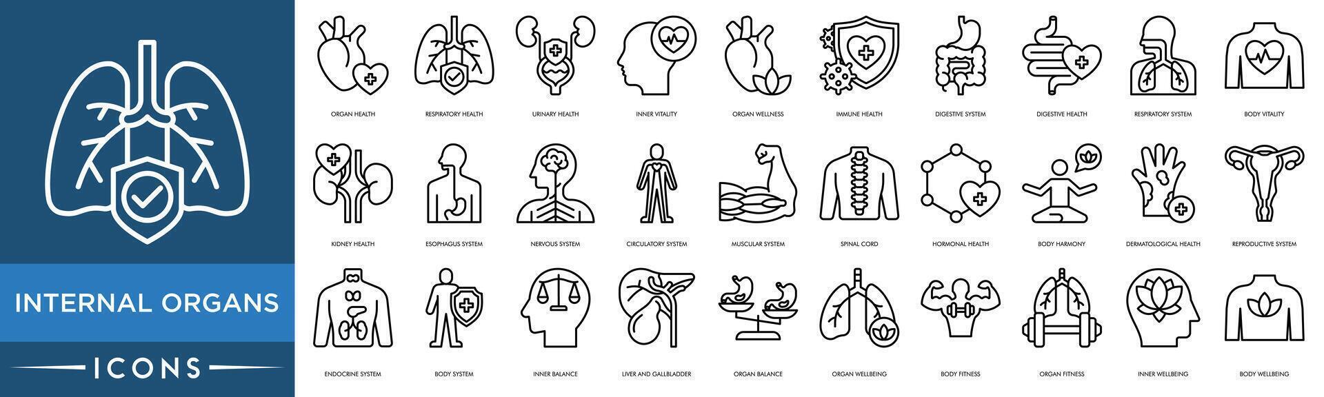 Internal Organs icon. Organ Health, Respiratory Health, Urinary Health, Inner Vitality, Organ Wellness, Immune Health, Digestive System, Digestive Health, Respiratory System, Body Vitality vector