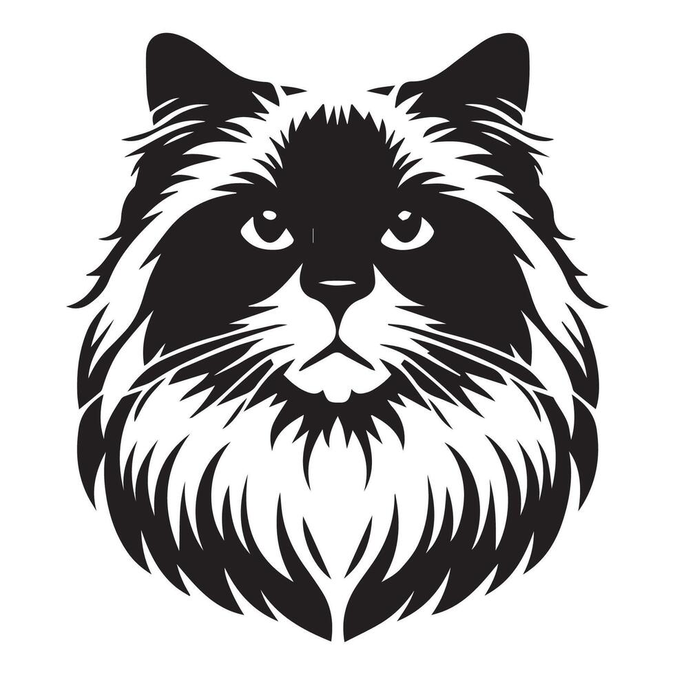 Ragdoll Cat Face - Majestic Ragdoll cat face illustration vector