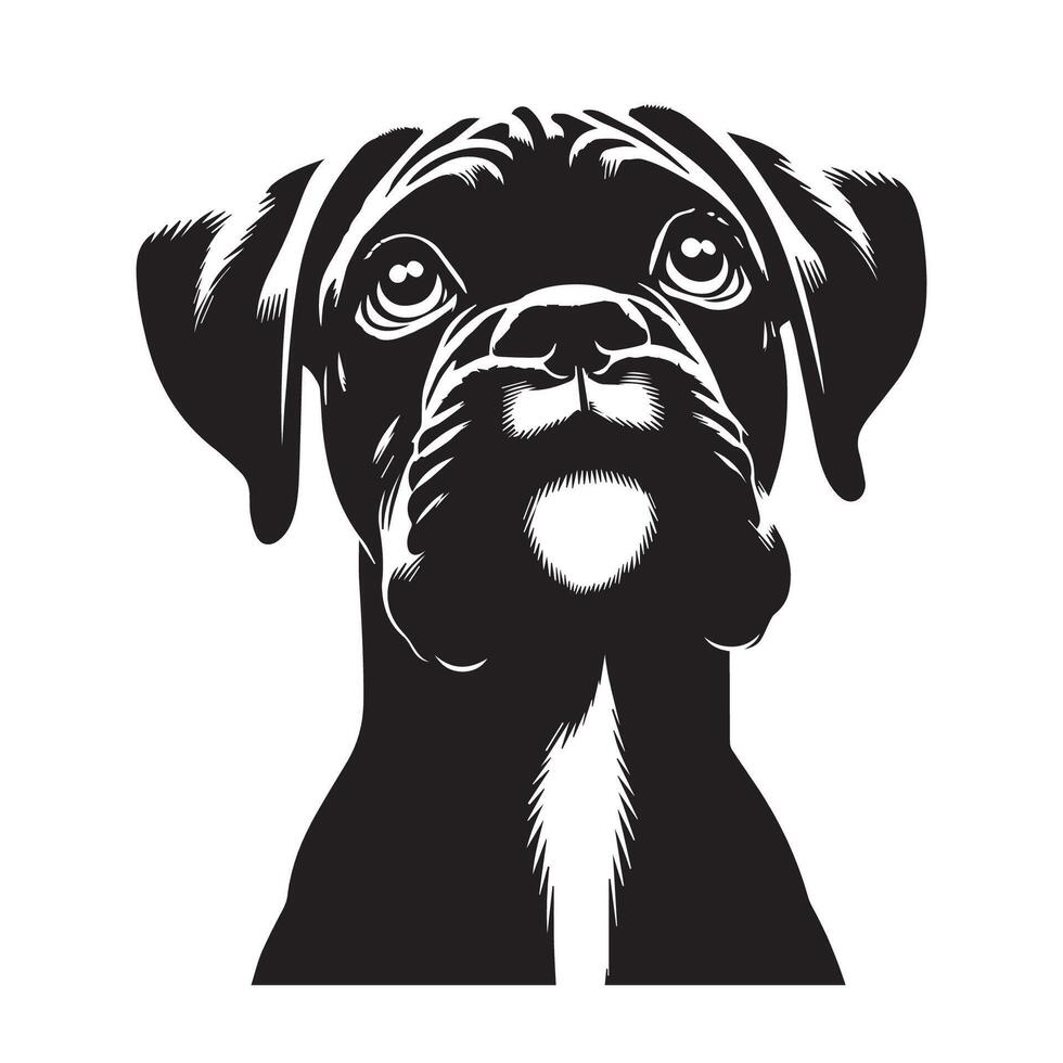 Boxer Dog - A Boxer Dog Hopeful face illustration in black and white vector