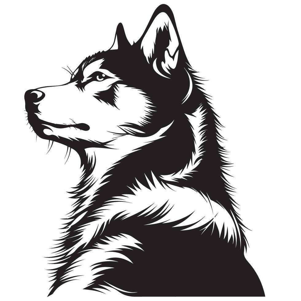 perro - un siberiano fornido perro pensativo cara ilustración en negro y blanco vector