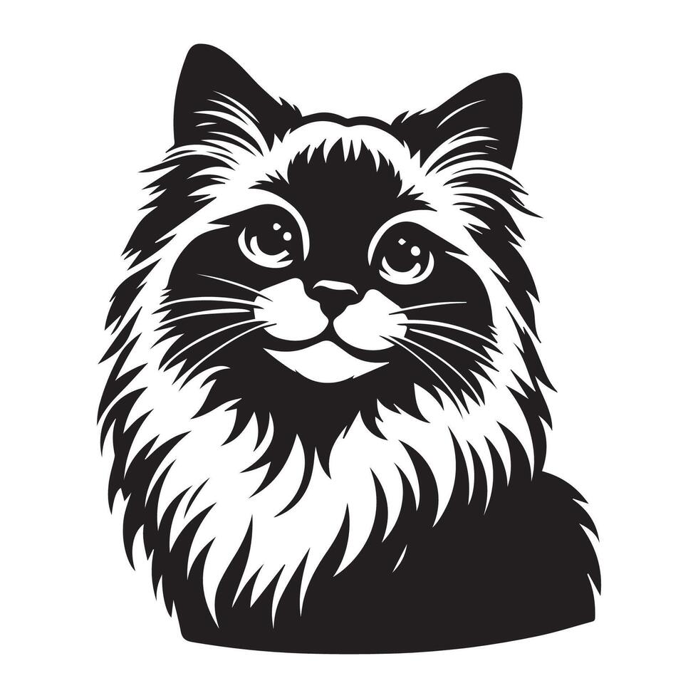 illustration of Playful Ragdoll cat face in black and white vector