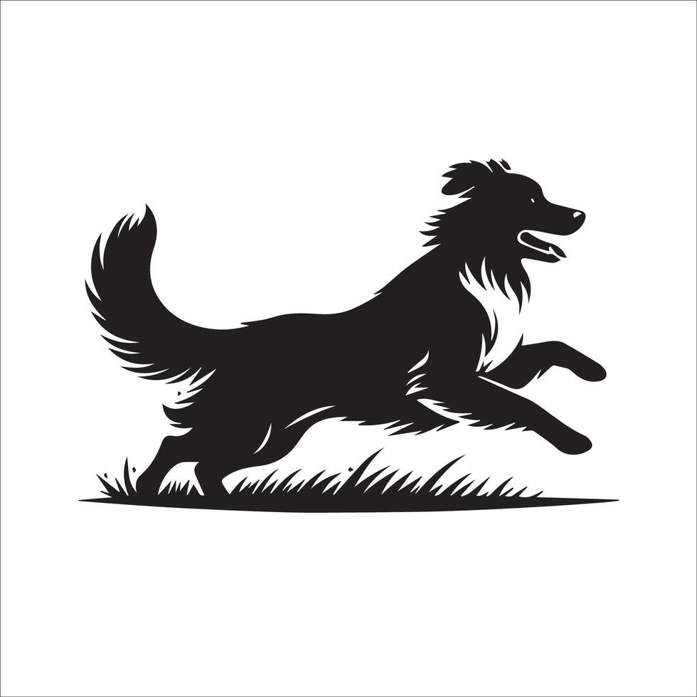 Australian Shepherd - An Australian Shepherd Dog Running illustration in black and white vector