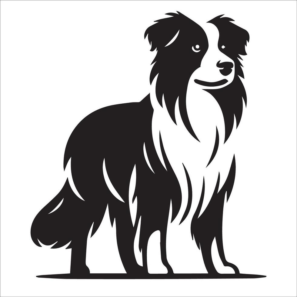 Australian Shepherd - An Australian Shepherd Dog Standing illustration in black and white vector