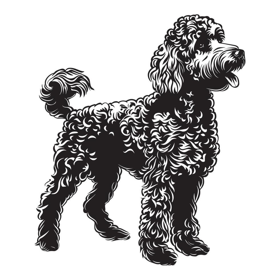 A Noble Poodle Dog illustration in black and white vector