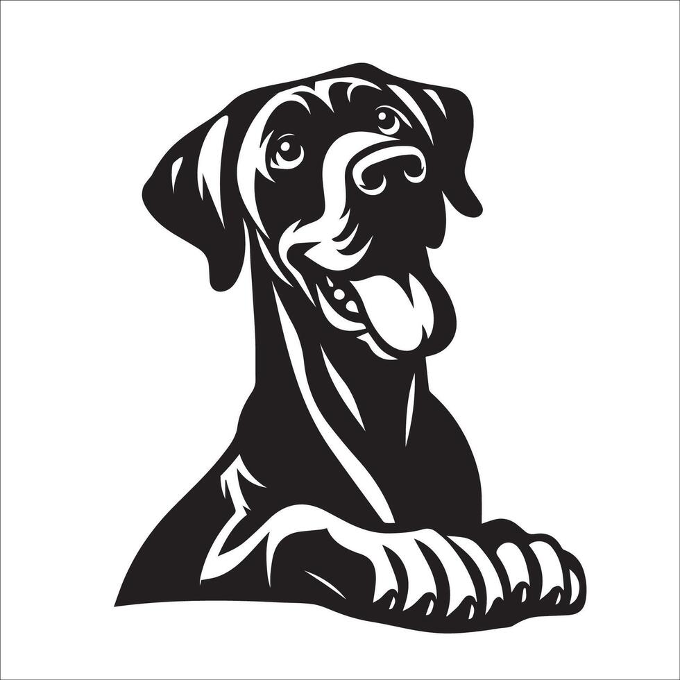 Great Dane Dog - A Great Dane Dog Playful face illustration in black and white vector