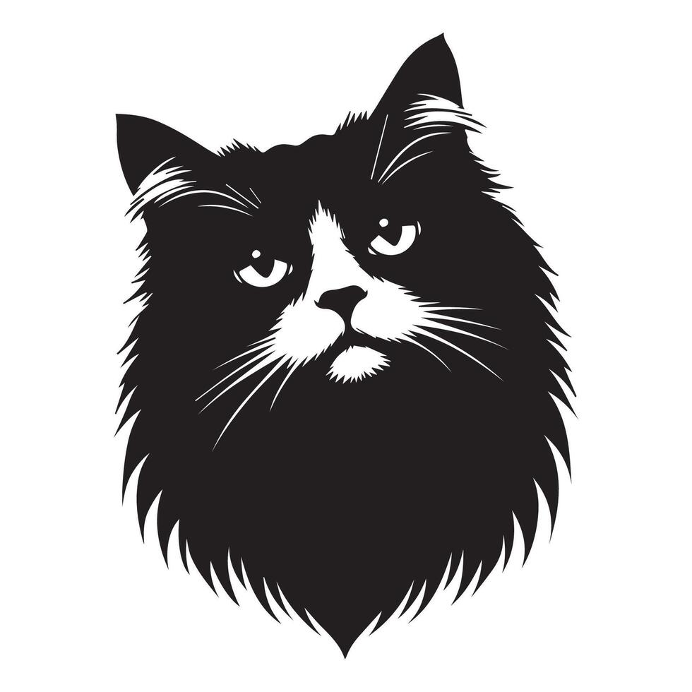 Cat silhouette - Skeptical Ragdoll cat cat face illustration on a white background vector