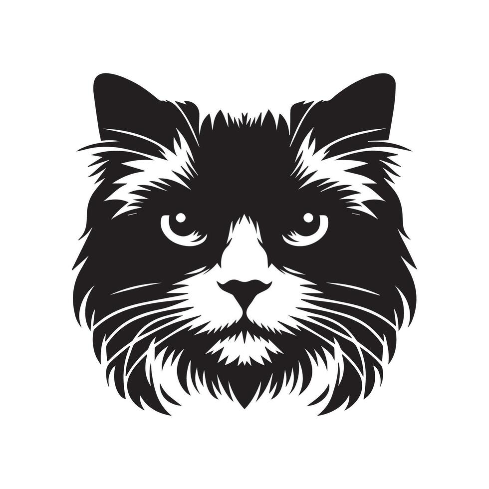 Cat Face - Intense Ragdoll cat face illustration in black and white vector