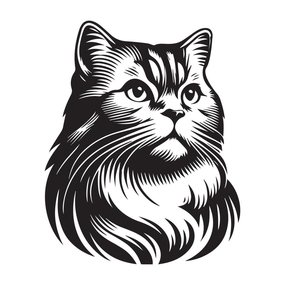 illustration of Dignified American Shorthair Cat face logo concept design vector