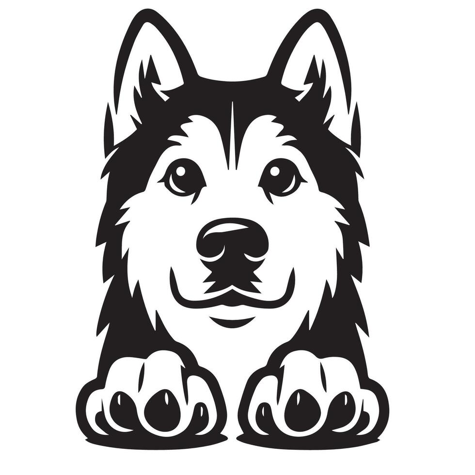 Dog - A Siberian Husky Dog Impatient face illustration in black and white vector