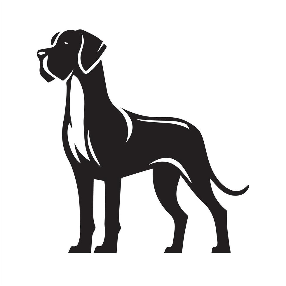 illustration of a Great Dane dog standing in black and white vector