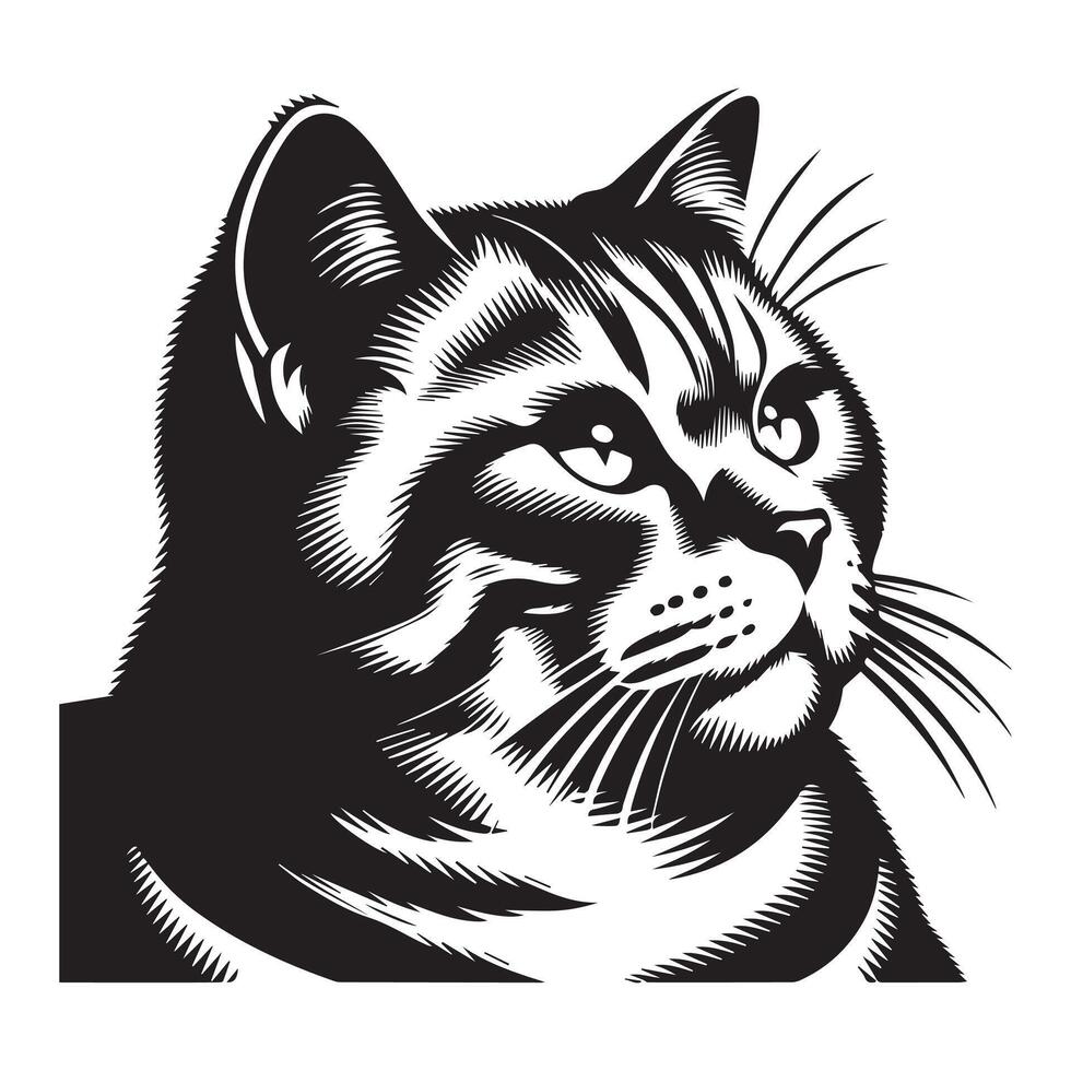 Cat Clipart - Pensive American Shorthair Cat face illustration vector
