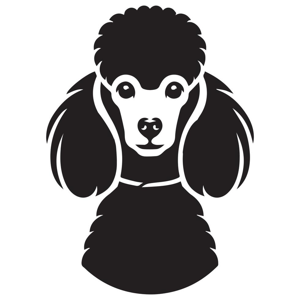 Poodle Dog - A Protective Poodle Dog face illustration in black and white vector