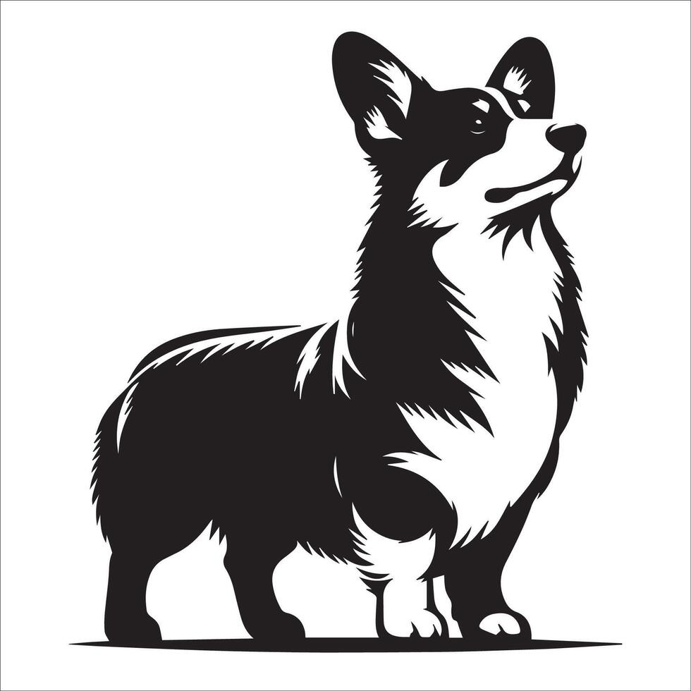 A Pembroke Welsh Corgi Standing illustration in black and white vector