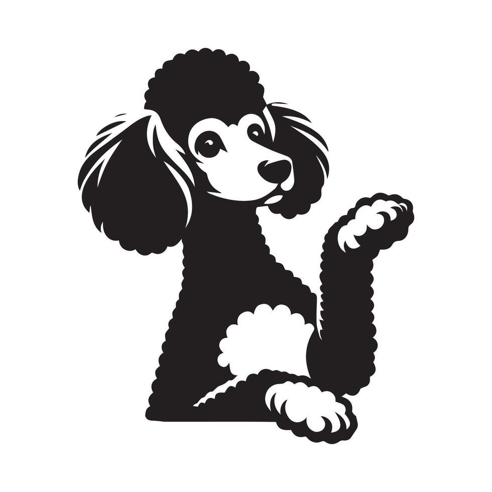 caniche perro - un impaciente caniche perro cara ilustración en negro y blanco vector