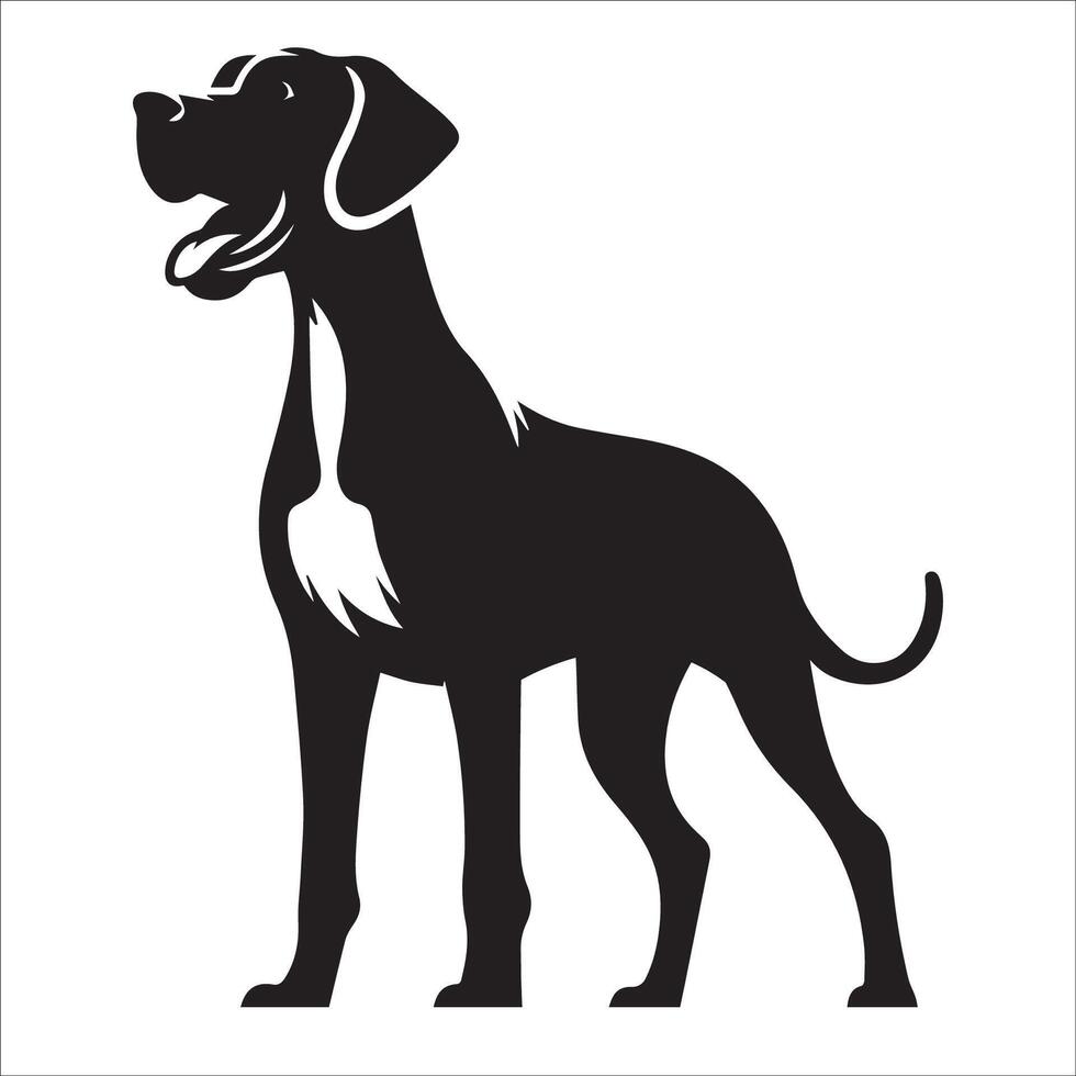 illustration of a Great Dane dog standing in black and white vector