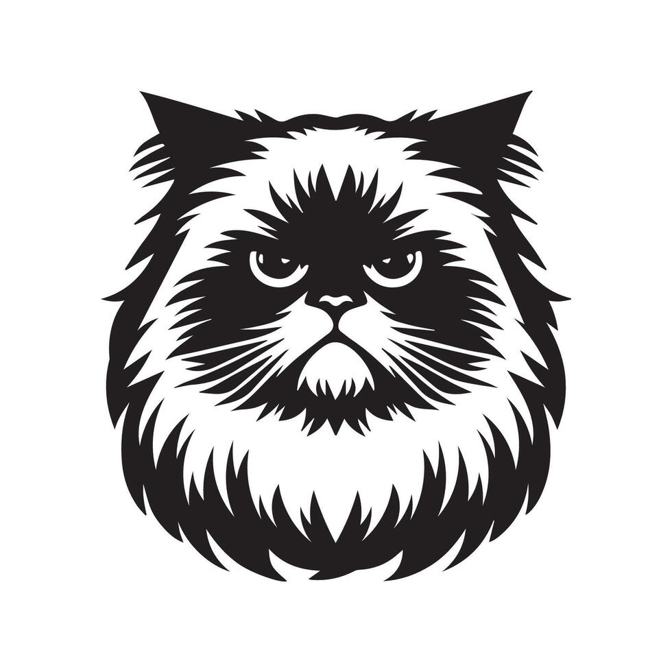 Cat Clipart - Grumpy Ragdoll cat illustration on a white background vector