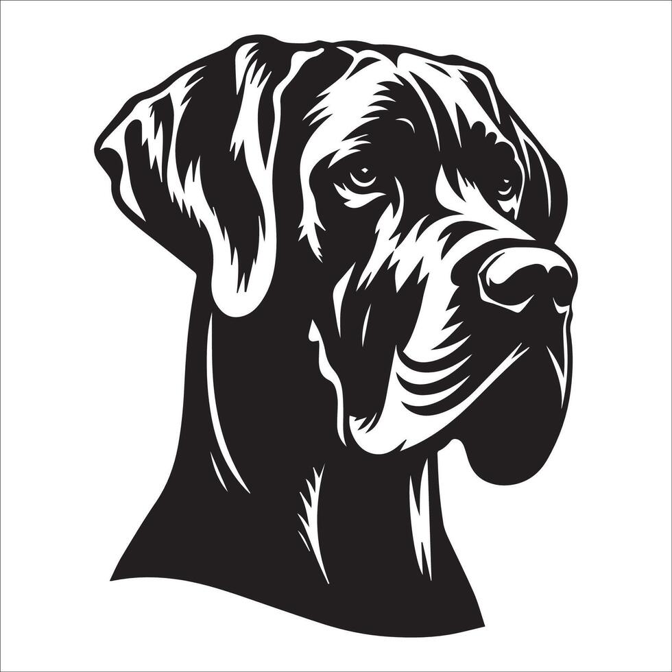 Great Dane Dog - A Great Dane Stern face illustration in black and white vector