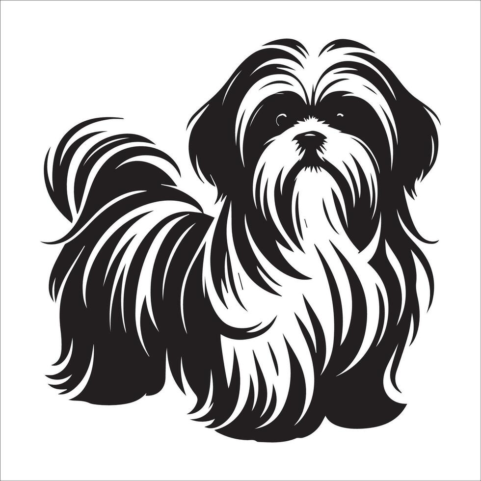 illustration of a Cute Shih Tzu dog Standing in black and white vector