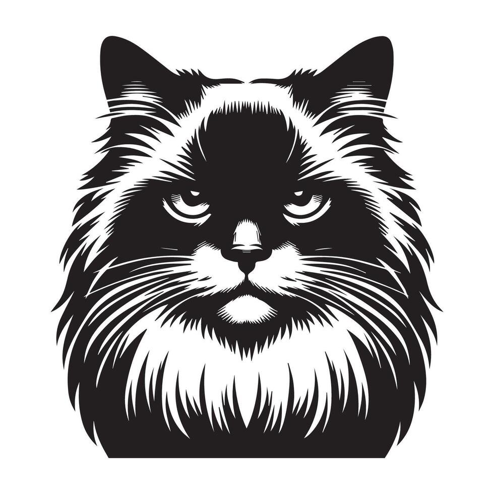 Cat Clipart - Stern Ragdoll cat face illustration on a white background vector