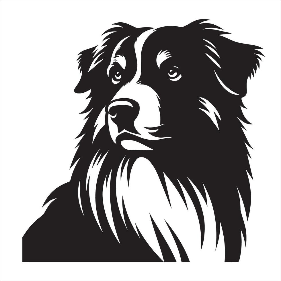 australiano pastor perro - un australiano pastor perro popa cara ilustración en negro y blanco vector